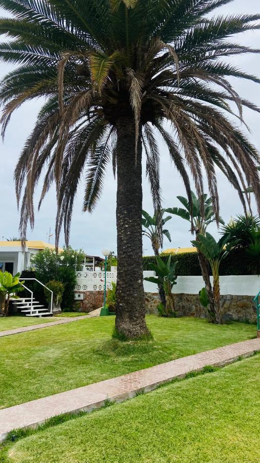 Bungalow Siena Center Playa Del Ingles 马斯帕洛马斯 外观 照片