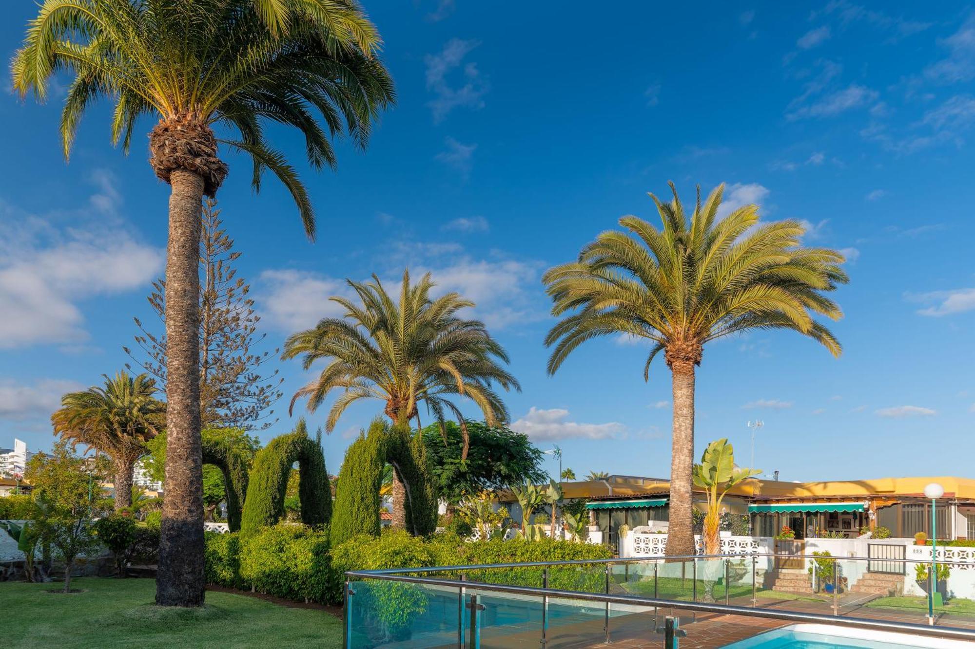Bungalow Siena Center Playa Del Ingles 马斯帕洛马斯 外观 照片